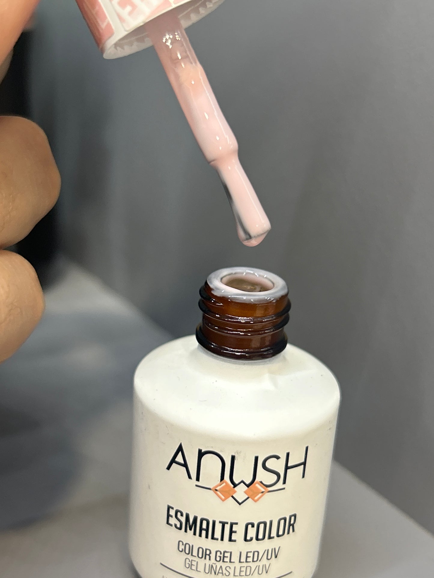 Anush 1421