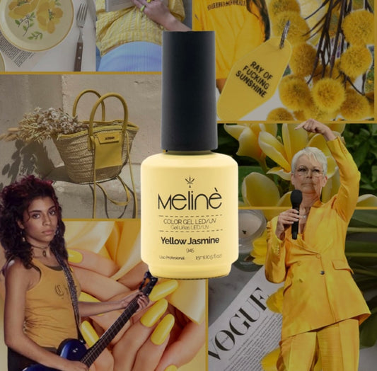 Yellow Jasmine 945 meline