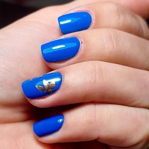 PARADISE NIGHT Nº127 Reve